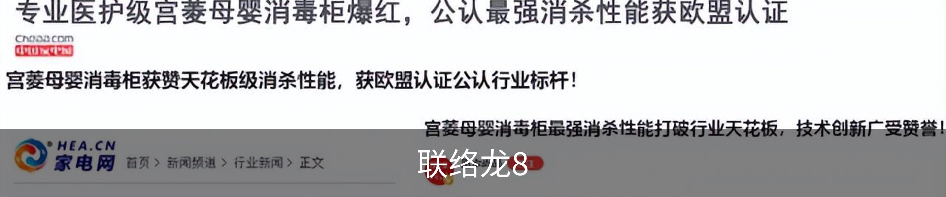 联络龙8