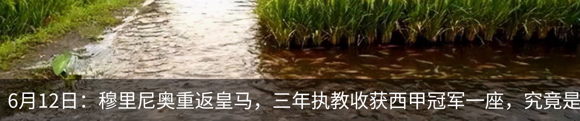 资讯中心